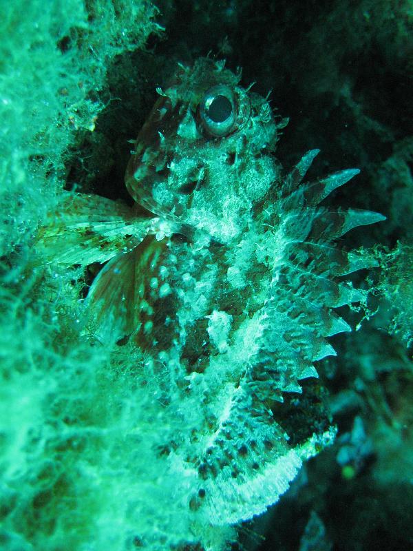 2009-09-11 12-38-29S.JPG